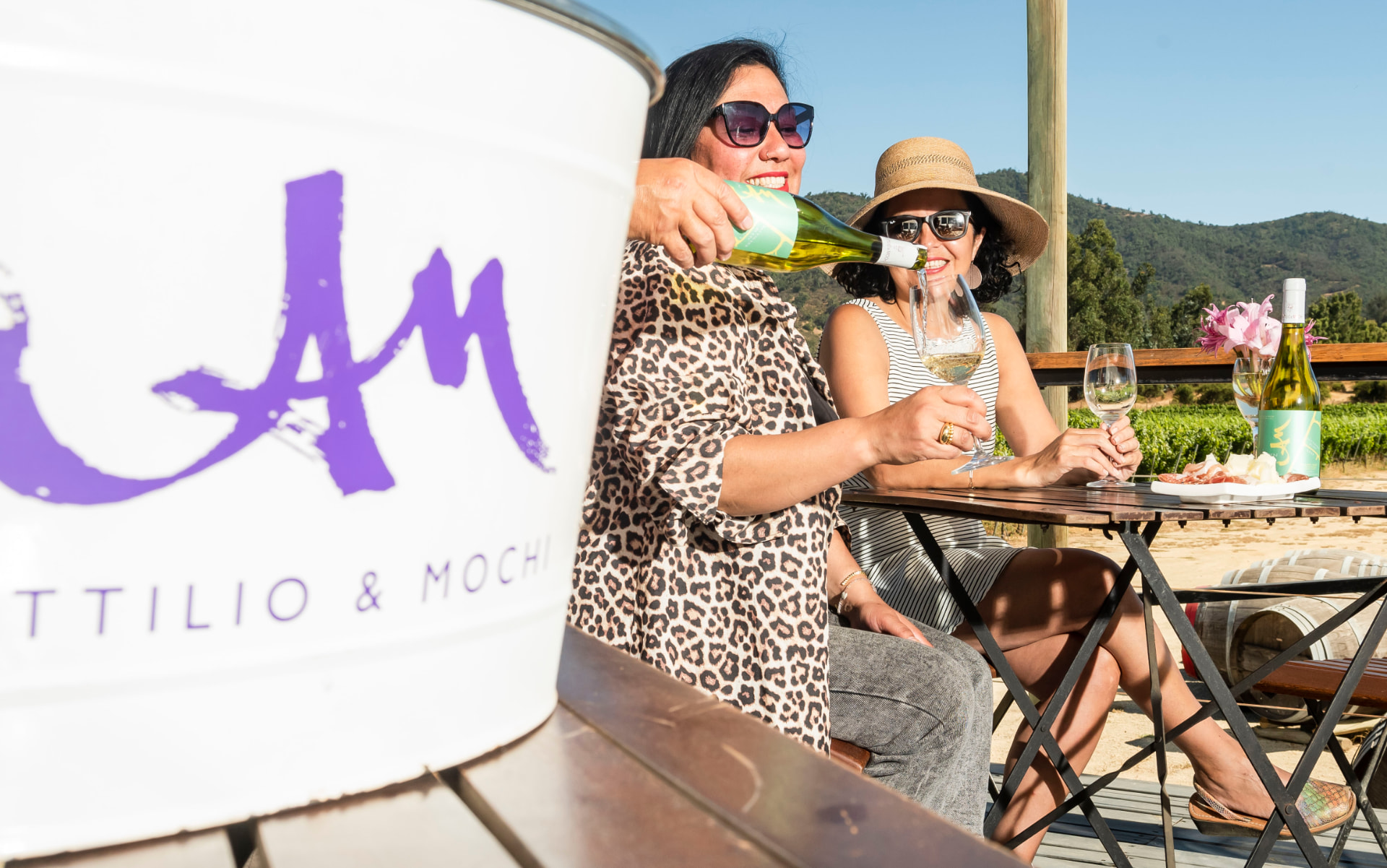 Visitantes brindando en la terraza con vista al viñedo