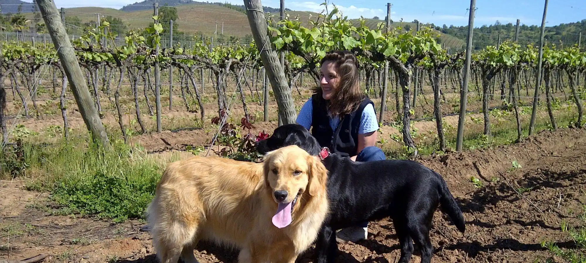 Angela con Ale y Franc entre las hileras del viñedo