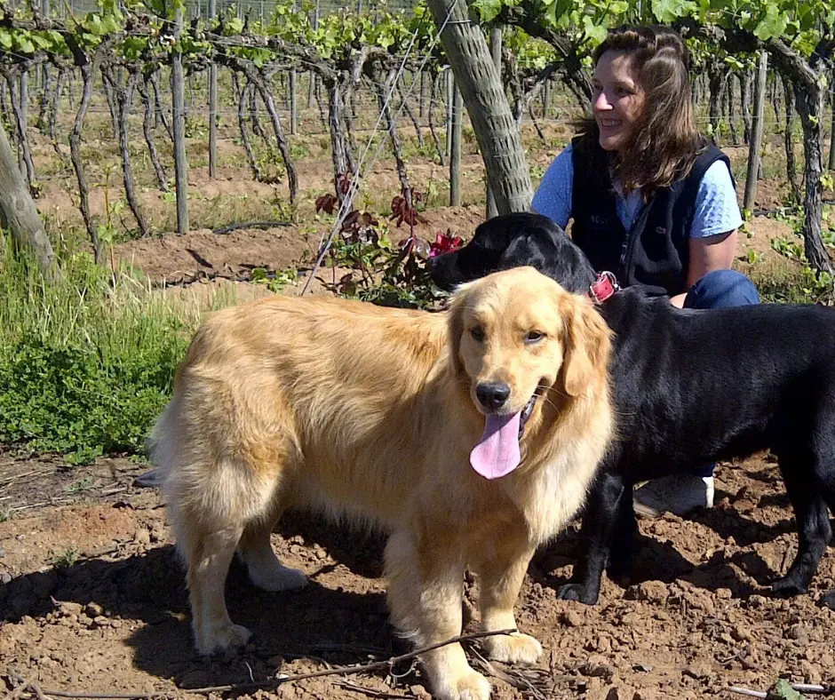 Ale junto a Angela y Franc en el viñedo