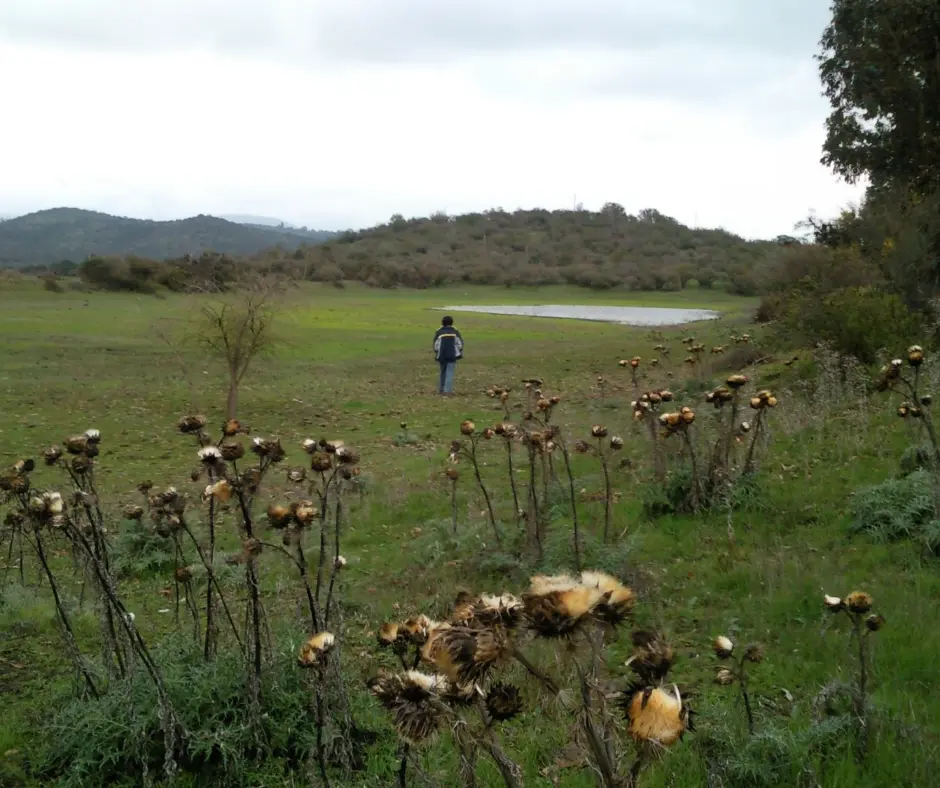 Marcos Attilio en el campo de Orrego Arriba antes de plantar los viñedos
