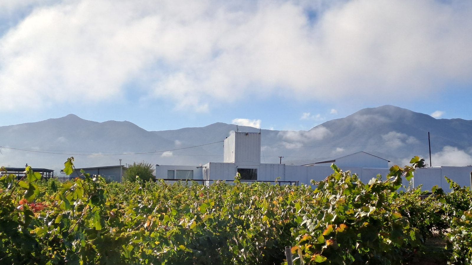 Bodega de Attilio & Mochi construida con contenedores marítimos reefer reciclados
